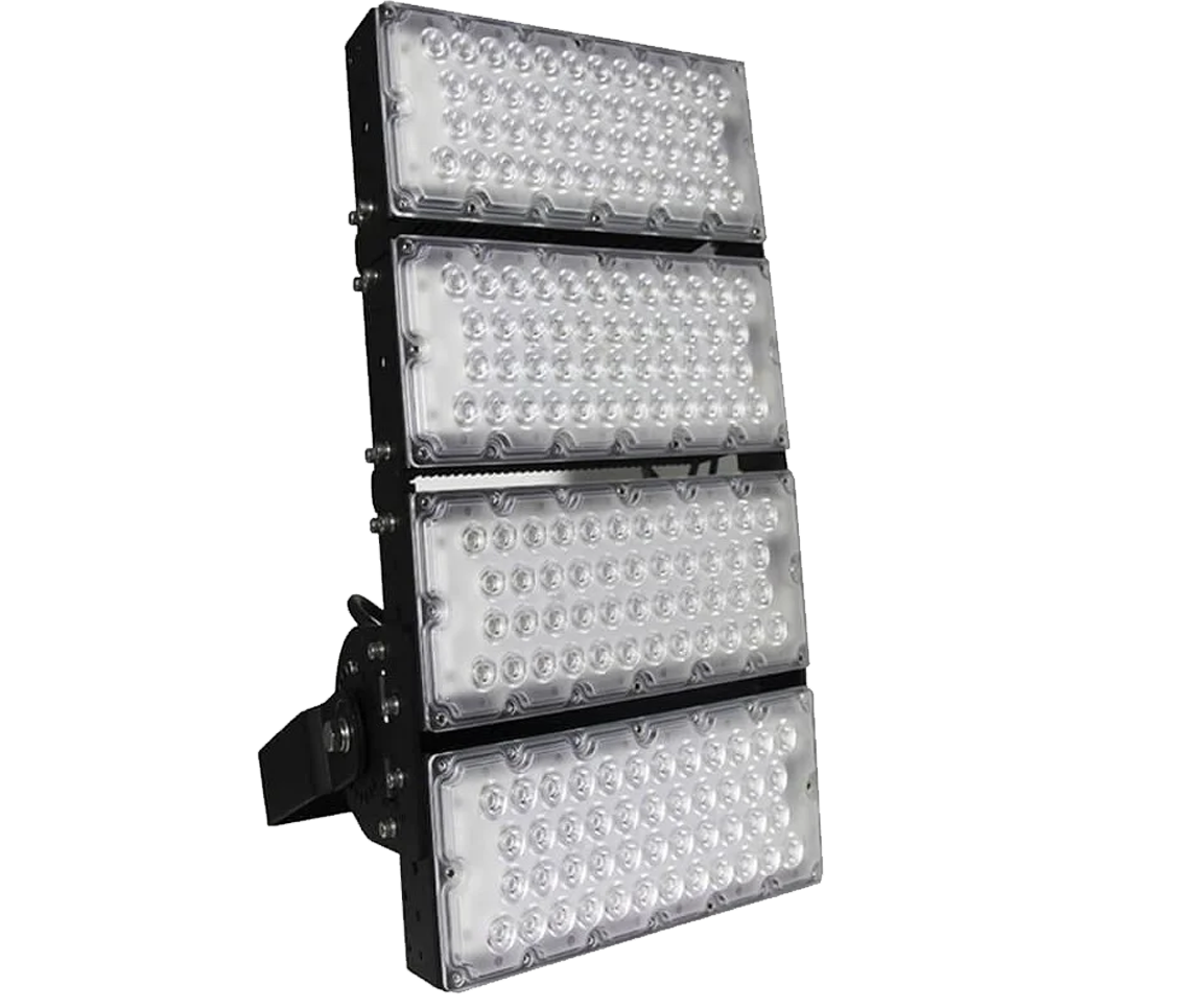 Producto ESFL100N5060-MX2