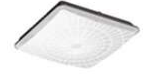 LUMINARIO LED PARA TECHO (CANOPY) ML-RGS150W