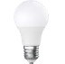 BULBO ML-BUL-9WBB / BC