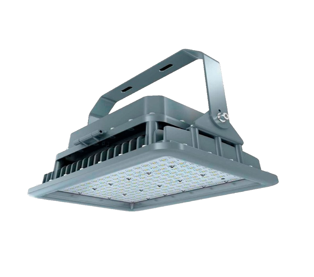 Producto FLDEPX300G420S50-MX